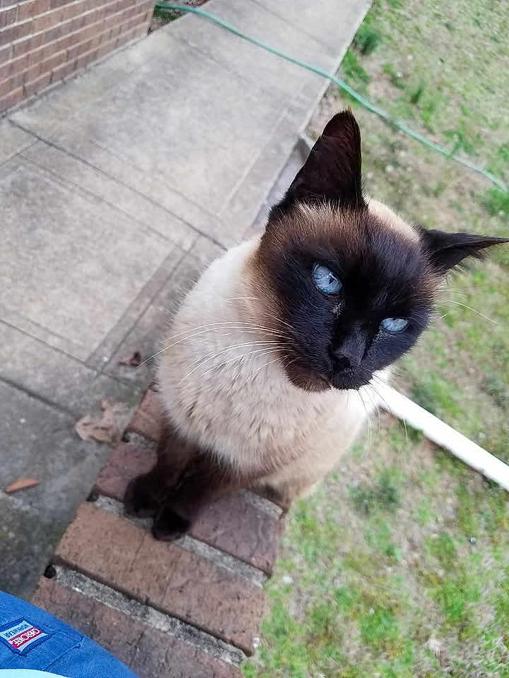 Rosie