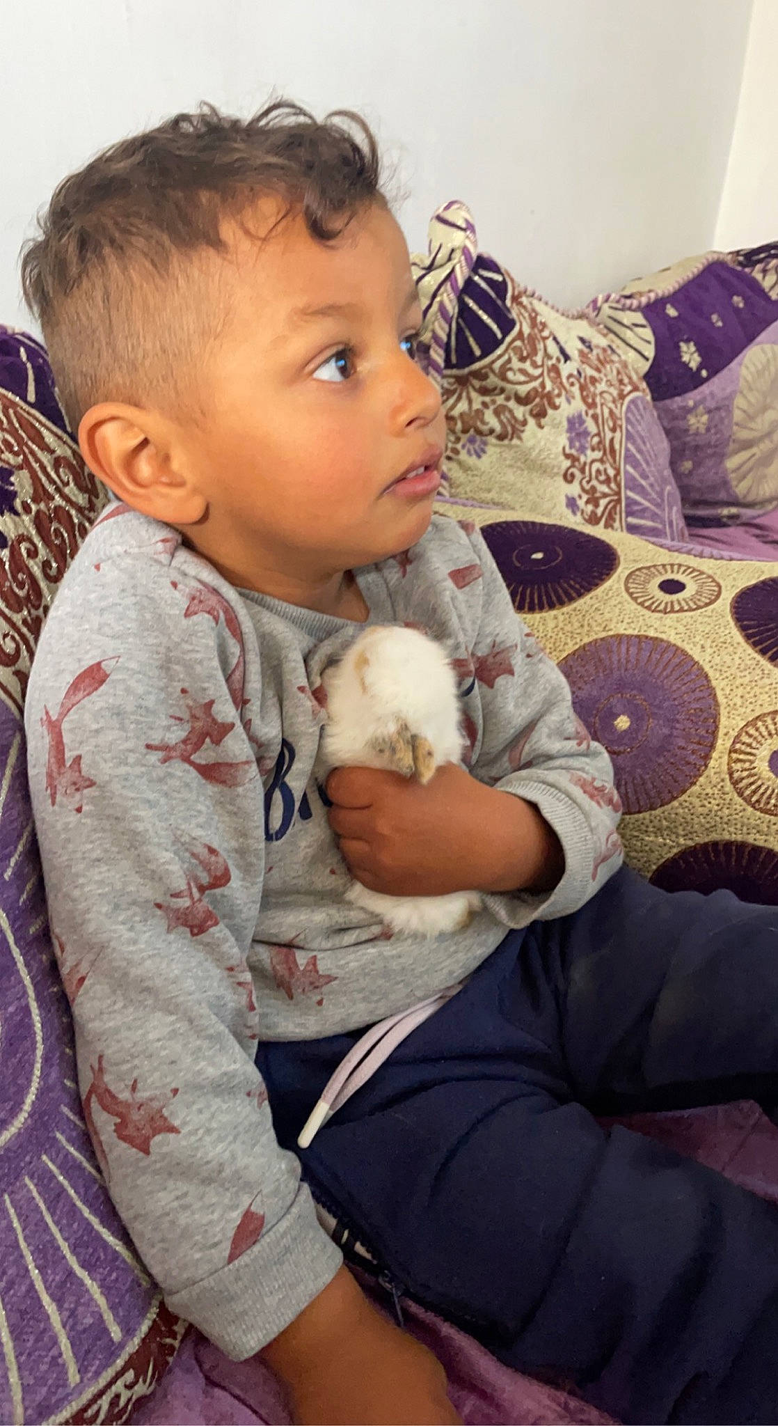 Djibril participe au concours pour gagner de l'argent avec cette photo : arm, baby, baby_toddler_clothing, cheek, child, comfort, companion_dog, eye, face, finger, hairstyle, hand, happy, head, iris, joint, person, sitting, skin, sleeve