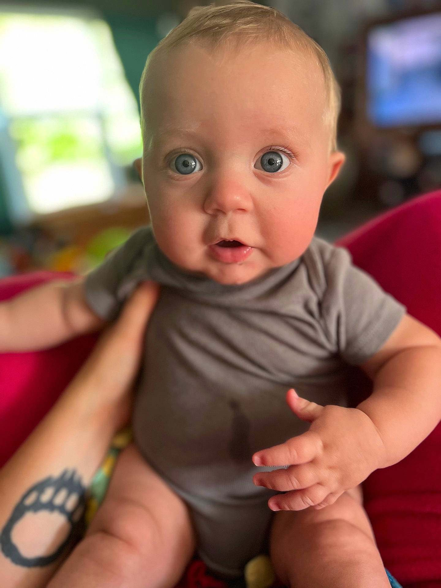 Bronson is registered to the contest to win money with this photo: baby, bodypart, clothing, computerhardware, electronics, face, finger, hand, happy, hardware, head, monitor, person, photography, portrait, screen, sitting, skin, t_shirt, tattoo