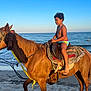 child, horse, beach, ocean, sand, sunlight, curly_hair, riding, animal, outdoor, water, blue_sky, summer, barefoot, vacation, nature, sea, saddle, young, recreation
