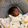 baby, sleeping, blanket, cushion, face, infant, indoors, newborn, person, portrait, resting, soft, toddler, wood_floor, young_child, cozy, snug, peaceful, cute, child