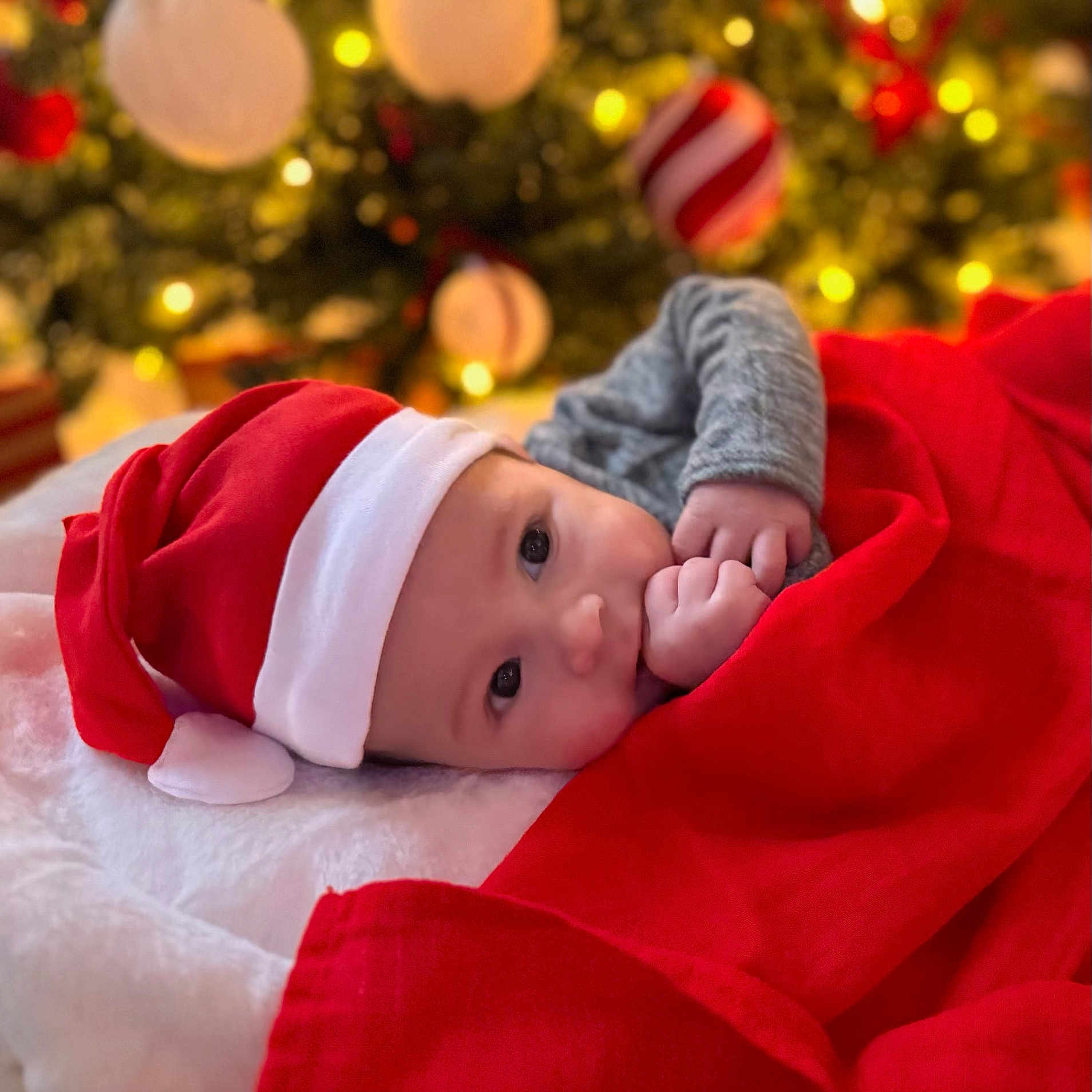 Adonis is registered to the contest to win money with this photo: baby, blanket, christmas_tree, cozy, cute, decoration, eyes, face, festive, hand, holiday, indoors, infant, lights, portrait, red, santa_hat, soft, warm, white