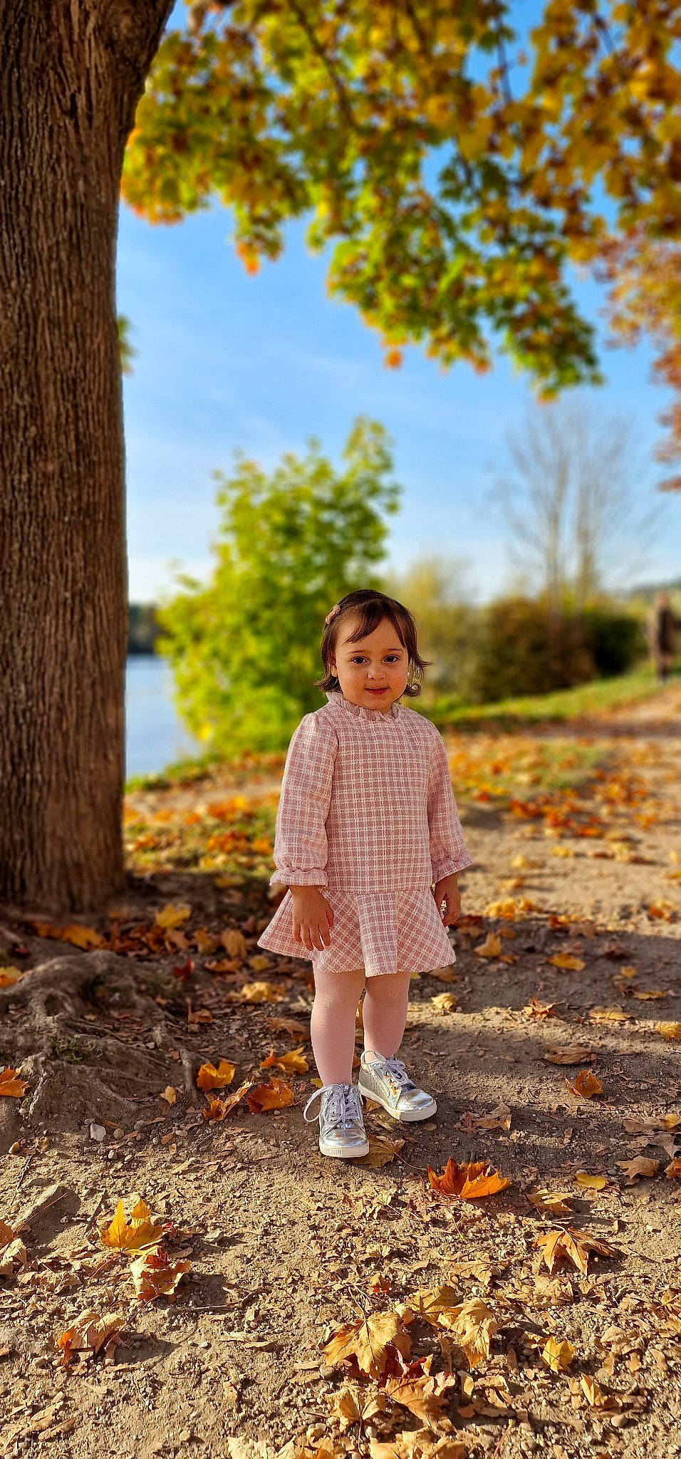 Baïa a rejoint le concours — aidez-le/la à gagner de superbes lots ! branch, forest, grass, happy, landscape, leaf, natural_landscape, nature, people_in_nature, person, plaid, plant, sky, summer, sunlight, tartan, tints_and_shades, tree, trunk, wood