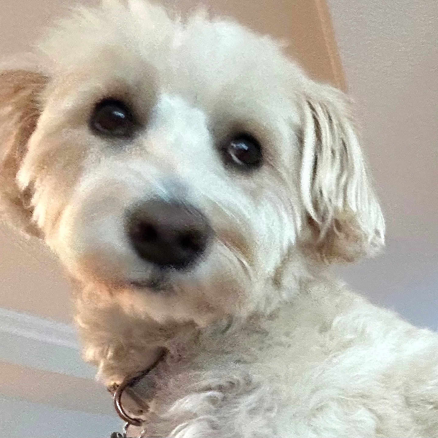 Murphy