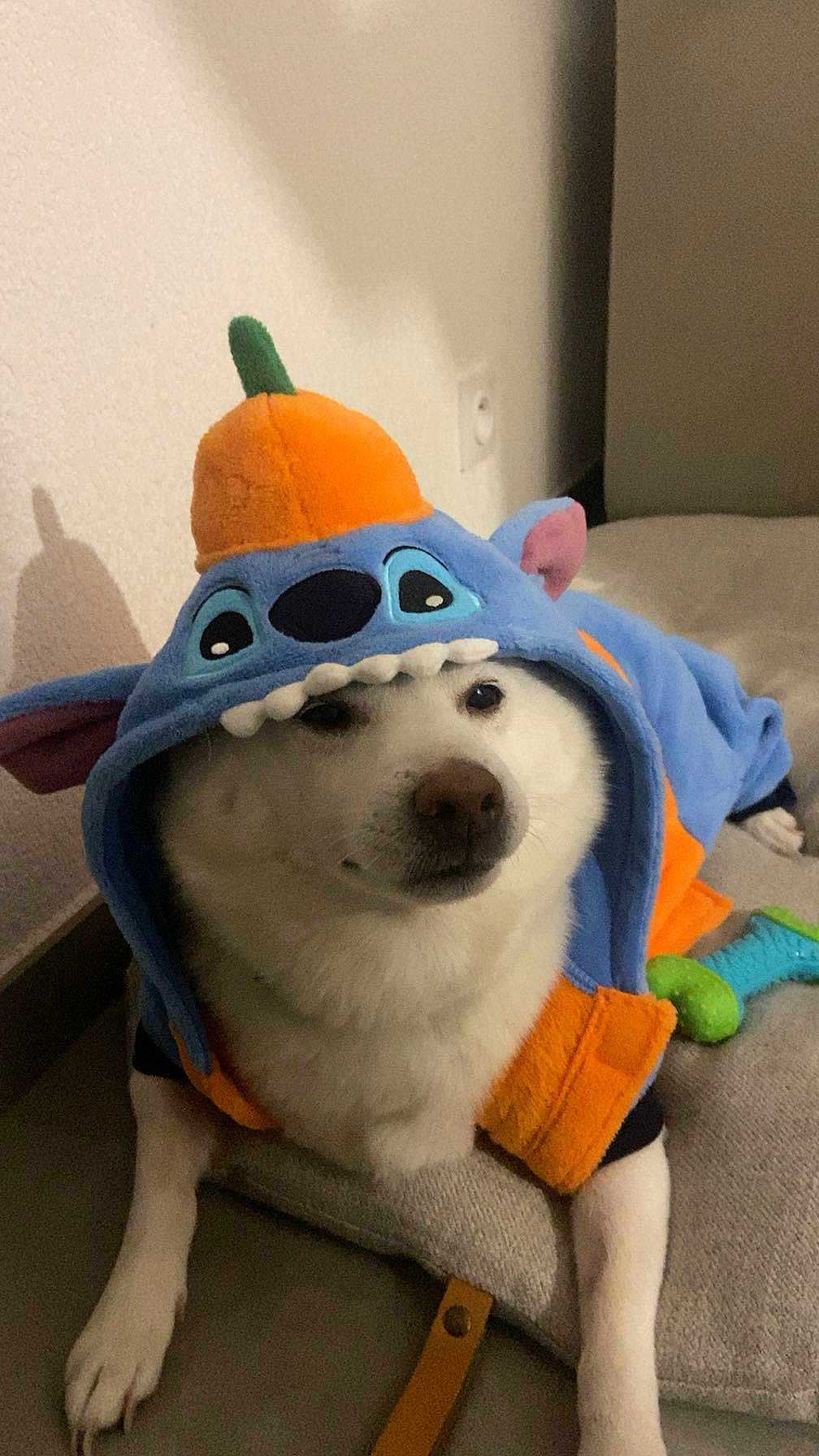Yuki