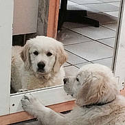 JAZZ a rejoint le concours — aidez-le/la à gagner de superbes lots !