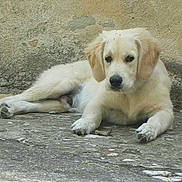 JAZZ participe au concours pour gagner de l'argent avec cette photo :