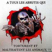 SPIROUPIRATE participe au concours pour gagner de l'argent avec cette photo :