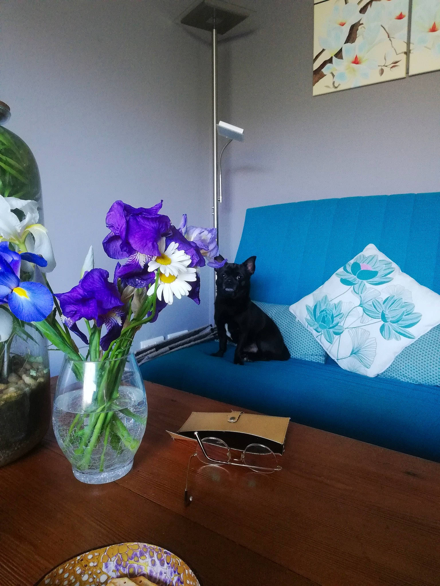 Guss a rejoint le concours — aidez-le/la à gagner de superbes lots ! azure, comfort, couch, flooring, flower, flowerpot, furniture, houseplant, interior_design, lighting, living_room, petal, plant, purple, serveware, table, tableware, textile, vase, violet