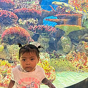Keilany is registered to the contest to win money with this photo: child, toddler, aquarium, fish, coral_reef, underwater, marine_life, sea_life, colorful, portrait, standing, indoors, aquatic, reef, tropical_fish, glass_tank, pink_shirt, pigtails, serious_expression, photography