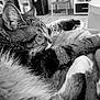 Loki a rejoint le concours — aidez-le/la à gagner de superbes lots ! cat, tabby, sleeping, paws, fur, blanket, close_up, indoor, resting, cozy, pet, animal, whiskers, relaxation, feline, soft, home, comfort, black_and_white, nap