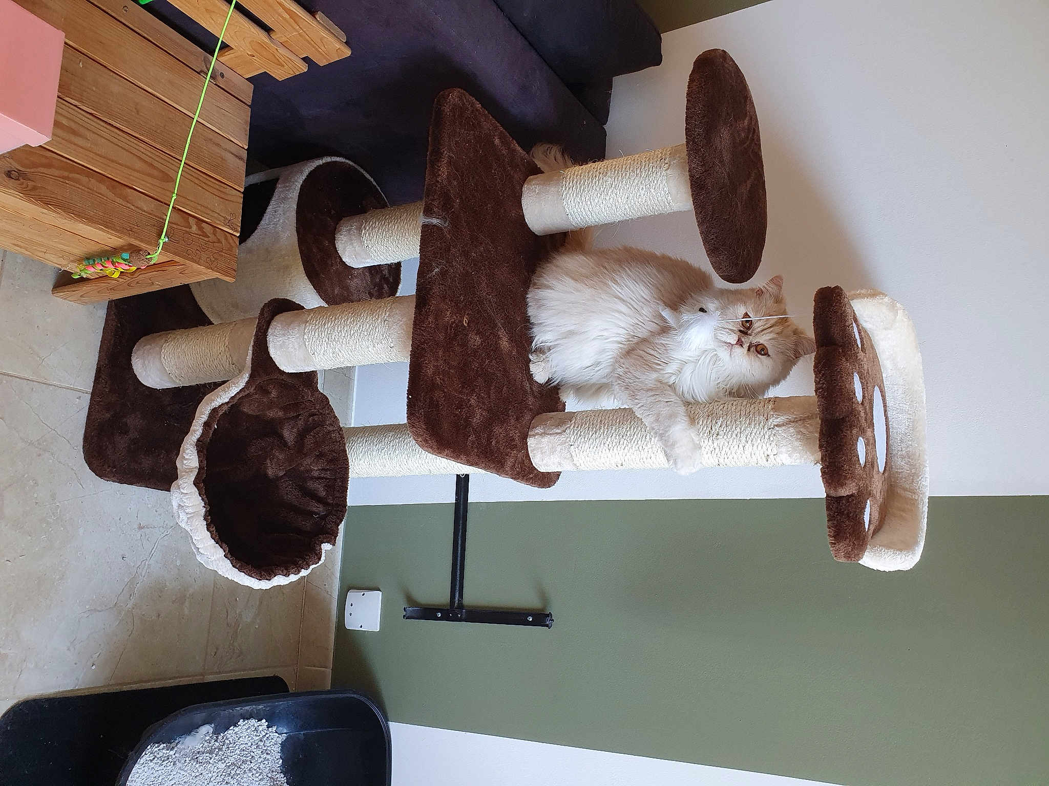 Doudou