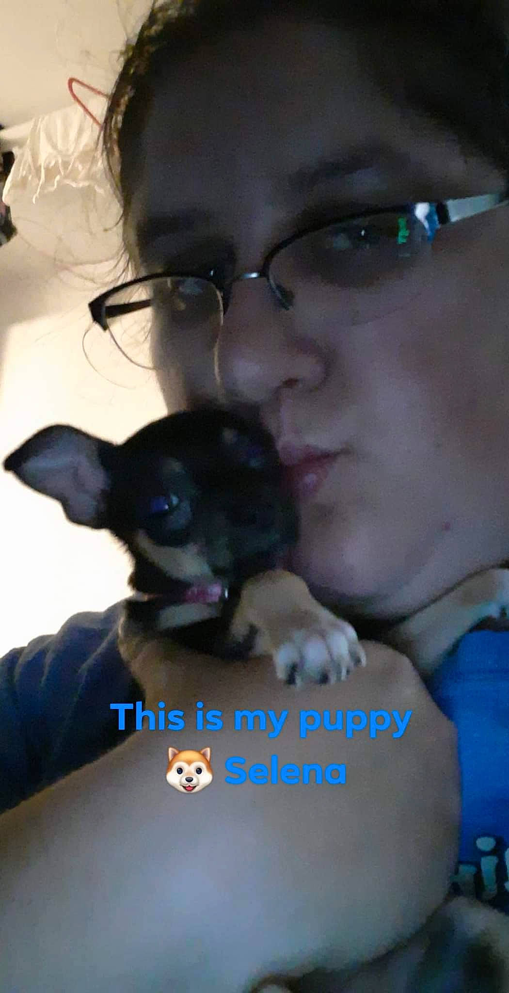 Selena joined the competition — help win amazing prizes! carnivore, comfort, companion_dog, dog, dog_breed, ear, eyelash, eyewear, face, fawn, finger, gesture, glasses, iris, jaw, nose, organ, skin, toy_dog, vision_care