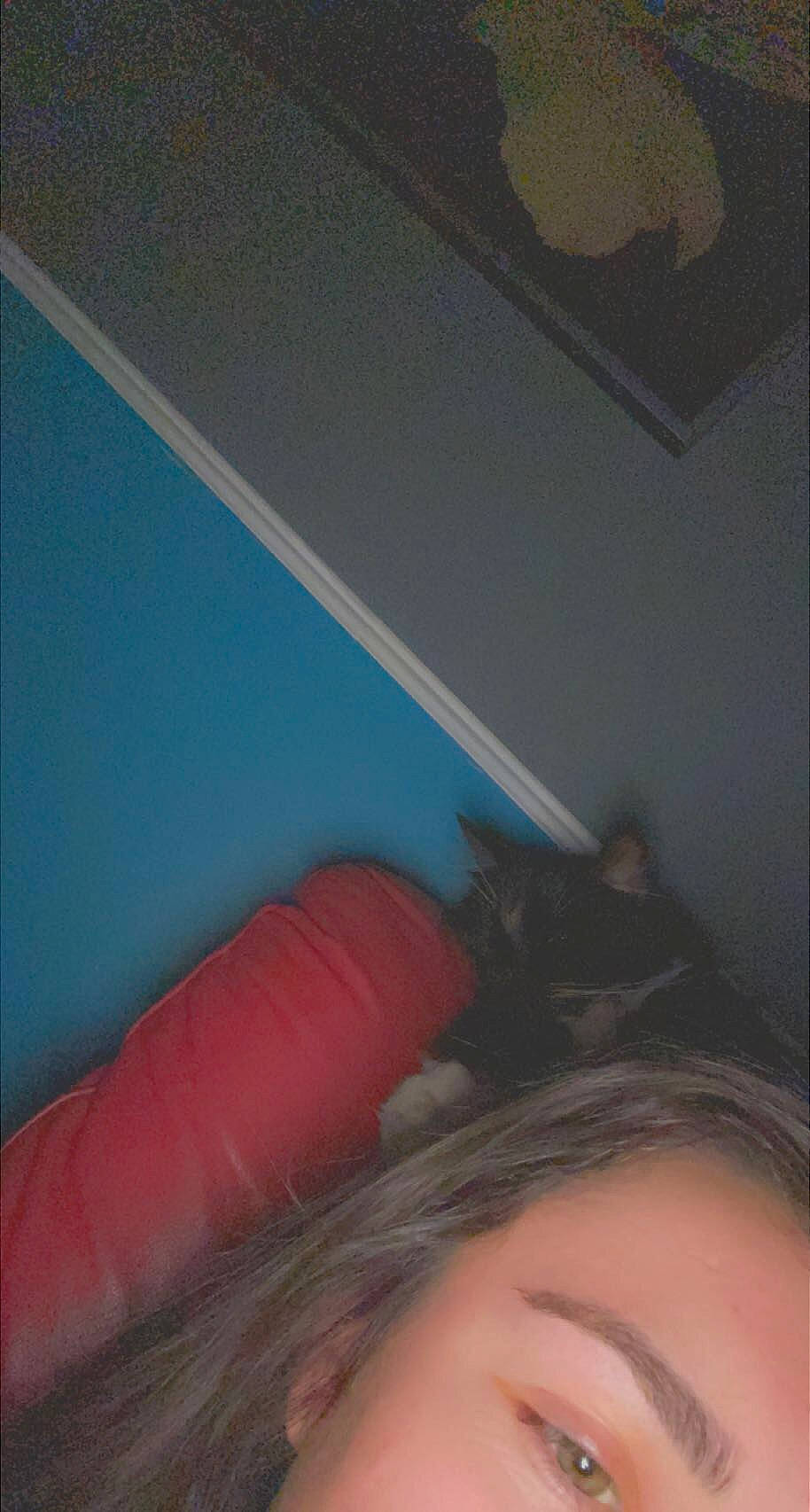 Furbs is registered to the contest to win money with this photo: back, ceiling, comfort, elbow, electric_blue, eyelash, felidae, flesh, flooring, fun, hair_coloring, human_leg, magenta, plaster, room, selfie, shadow, thigh, tints_and_shades, wood