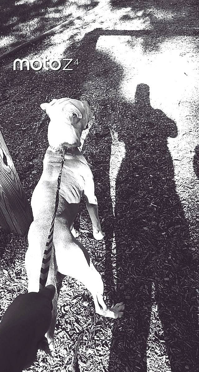 Rico is registered to the contest to win money with this photo: art, black_and_white, darkness, flash_photography, font, gesture, grass, happy, human_leg, illustration, interaction, monochrome, monochrome_photography, people_in_nature, shadow, standing, stock_photography, style, tints_and_shades, vintage_clothing