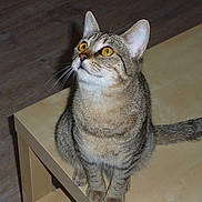 Lily a rejoint le concours — aidez-le/la à gagner de superbes lots !