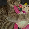 cat, tabby, stuffed_toy, plush, snuggling, cozy, sleeping, animal, pet, cute, feline, soft, pink, cream, indoor, closeup, comfort, relaxation, toy, affection
