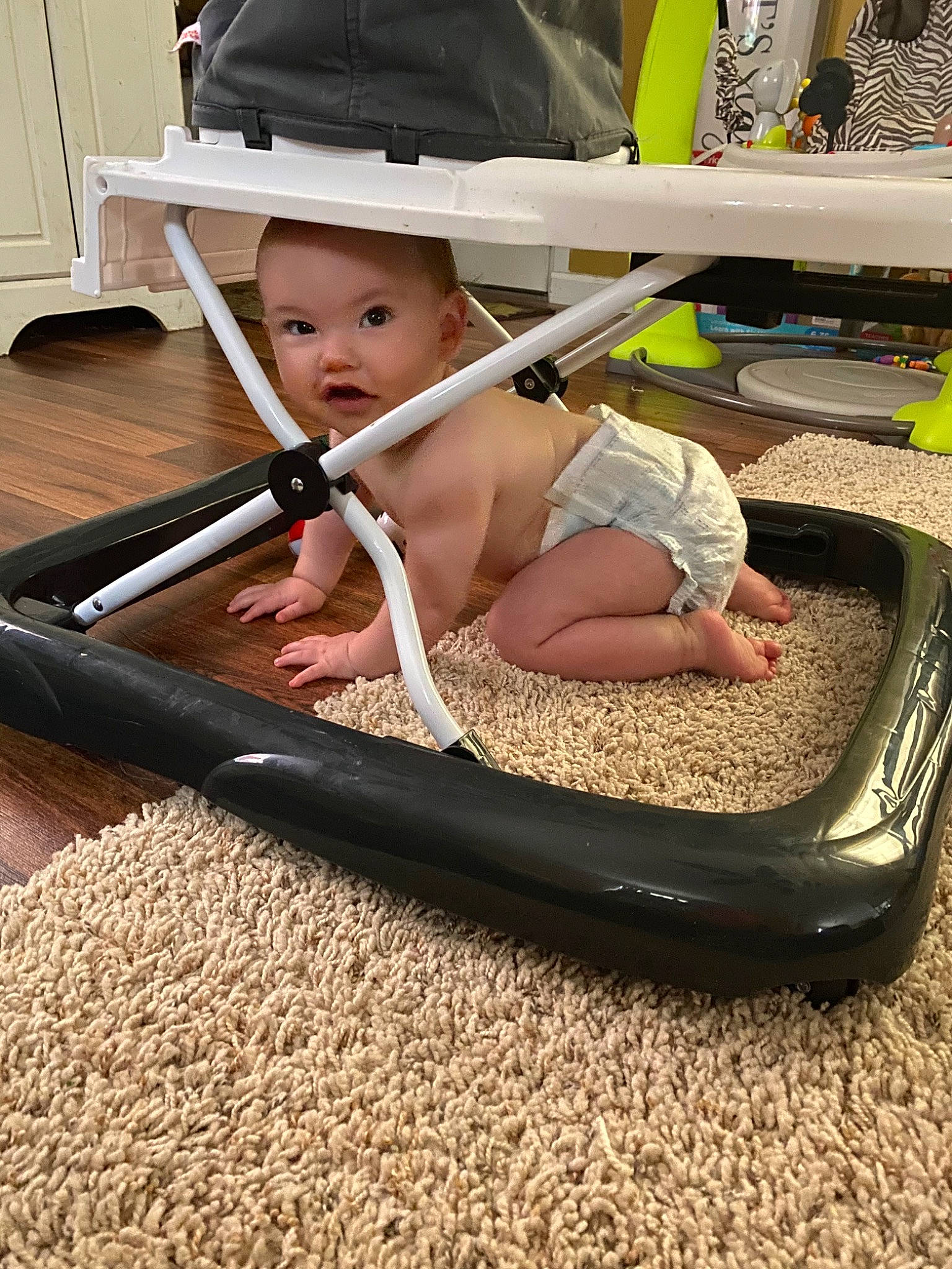 Channing is registered to the contest to win money with this photo: baby, child, leisure, person, play, product, toddler