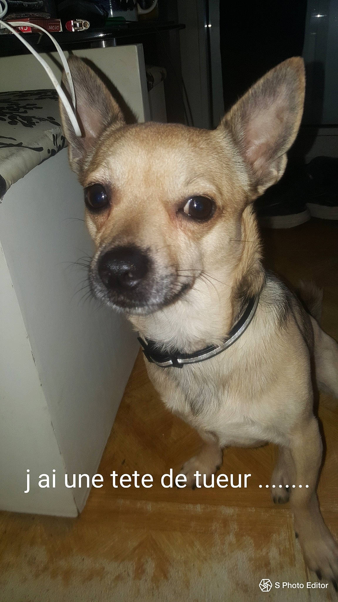 Ades Allias El Titou