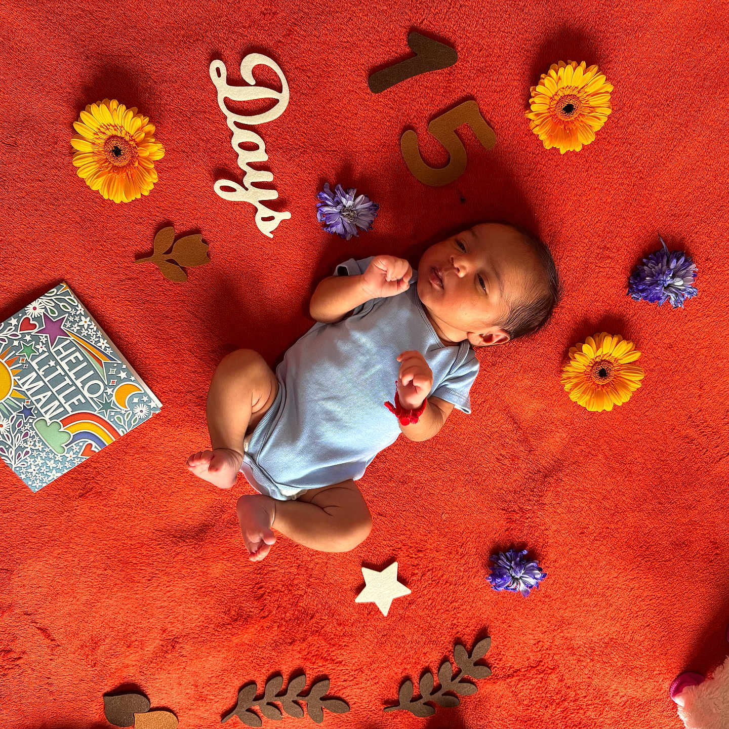 Harshil joined the competition — help win amazing prizes! baby, card, celebration, colorful, cozy, cute, decorative_elements, hello_little_man, indoors, infant, lying_down, newborn, orange_blanket, peaceful, portrait, purple_flower, soft_toy, wooden_letters, wooden_numbers, yellow_flower