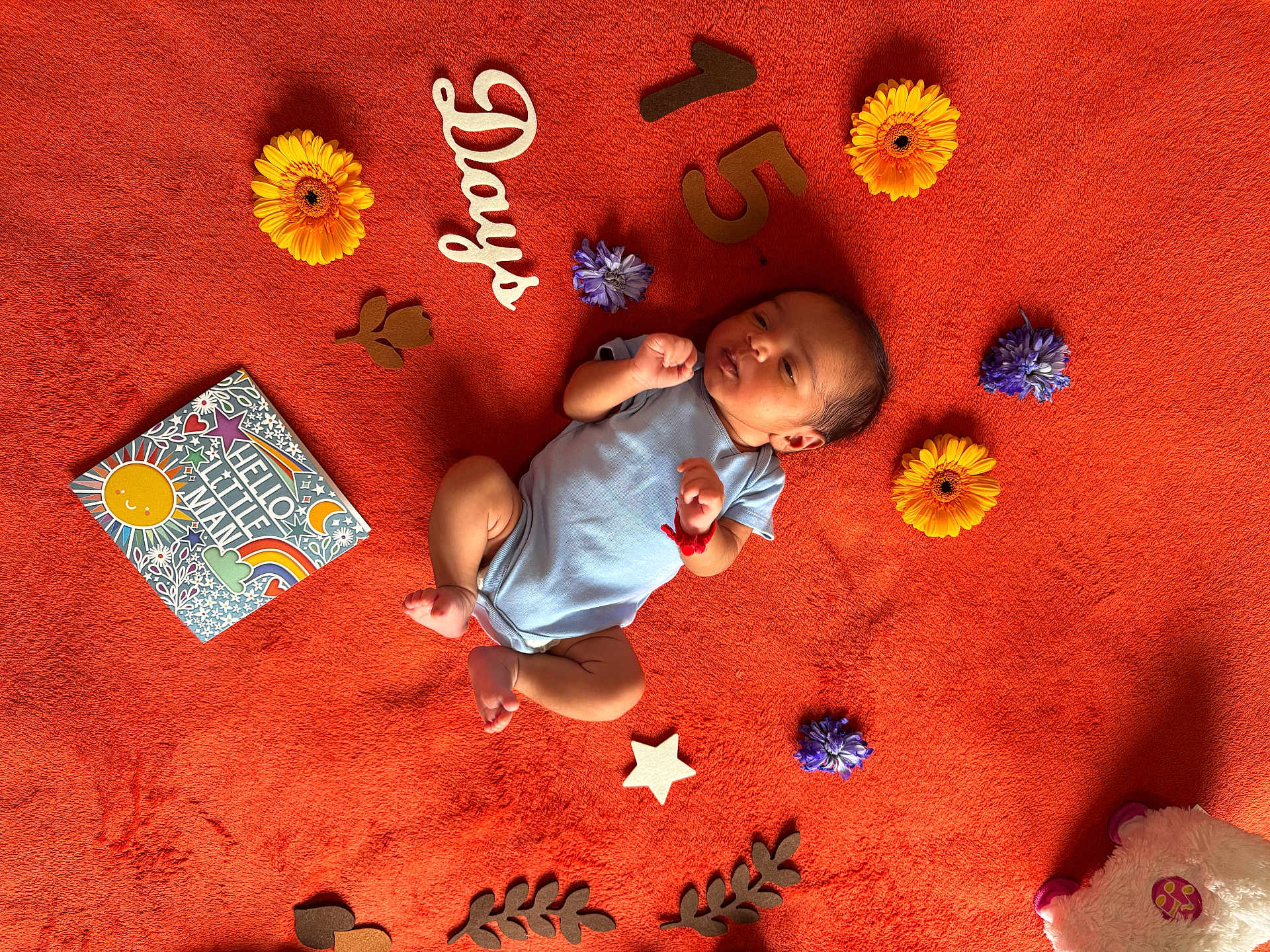 Harshil joined the competition — help win amazing prizes! baby, newborn, orange_blanket, yellow_flower, purple_flower, wooden_letters, wooden_numbers, card, hello_little_man, soft_toy, infant, lying_down, decorative_elements, colorful, cute, cozy, peaceful, indoors, portrait, celebration
