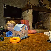 Marcus participe au concours pour gagner de l'argent avec cette photo : toddler, child, toy, wooden_table, barn_puzzle, orange_ring, curly_hair, indoor, fireplace, stone_wall, chair, television, furniture, rustic, playtime, person, home, cozy, wood, curious