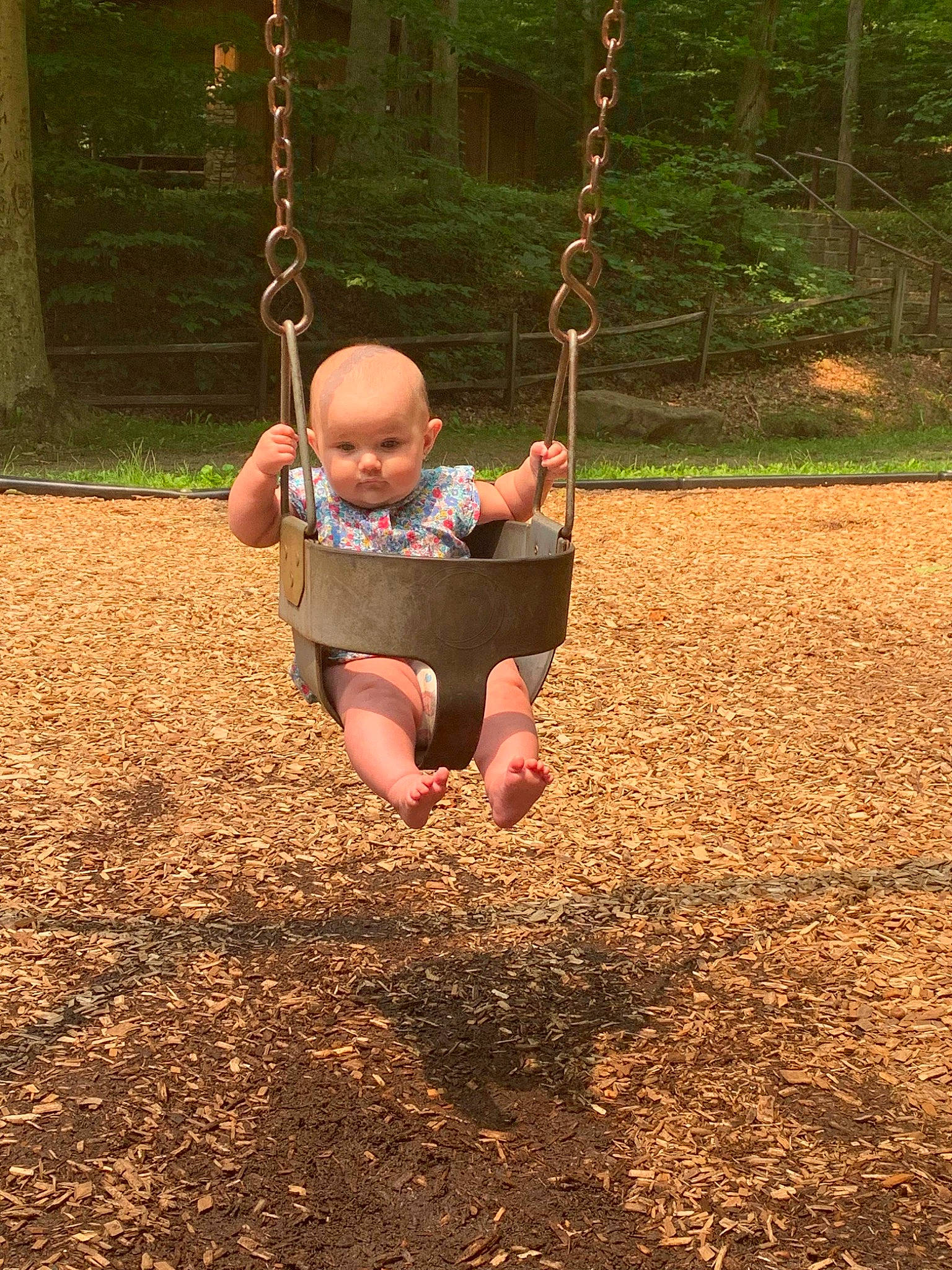 Shelby is registered to the contest to win money with this photo: baby, city, electric_blue, event, fun, grass, happy, leisure, outdoor_play_equipment, people_in_nature, person, plant, playground, recreation, shade, shorts, soil, swing, toddler, tree