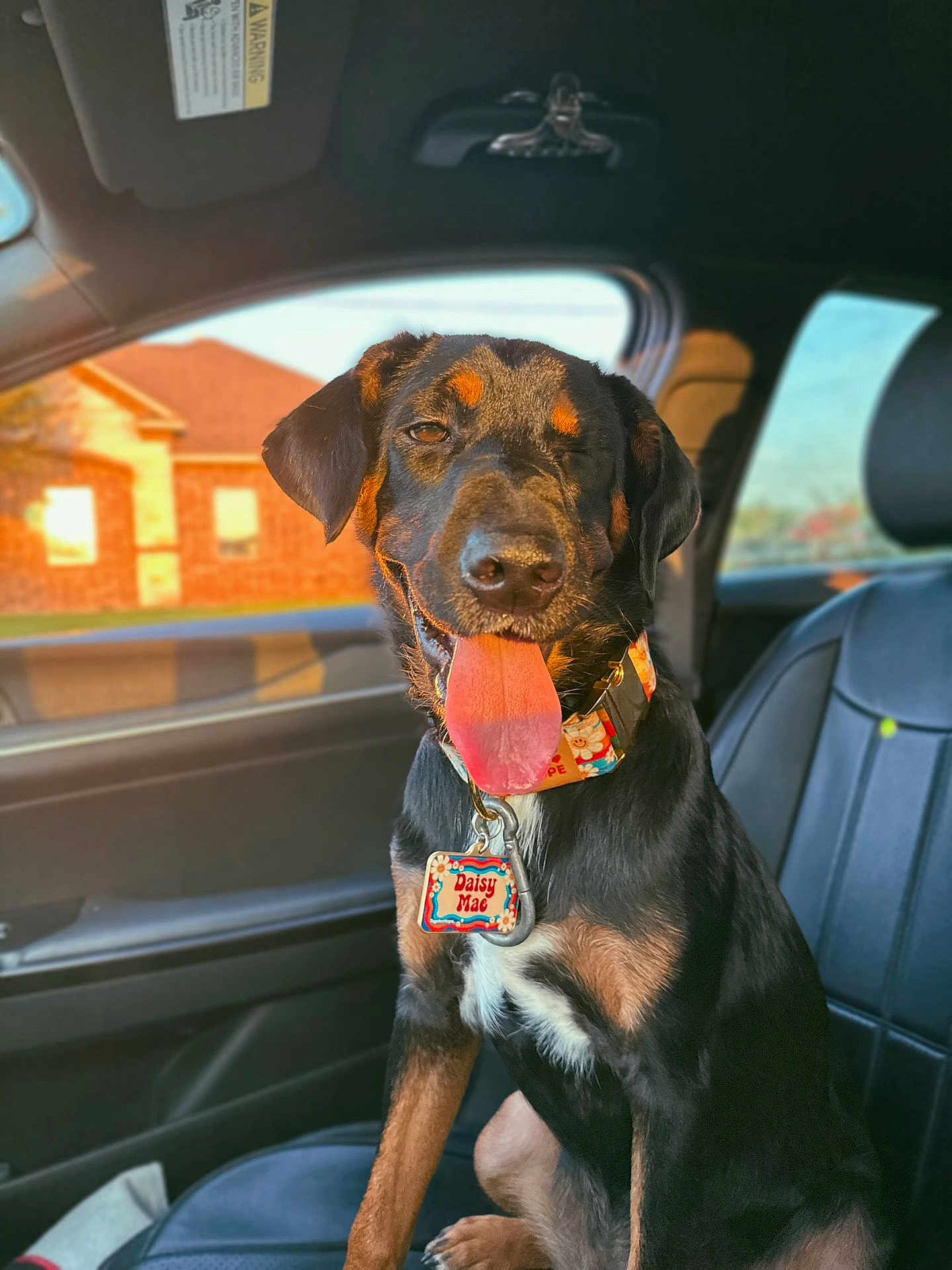 Daisy Mae