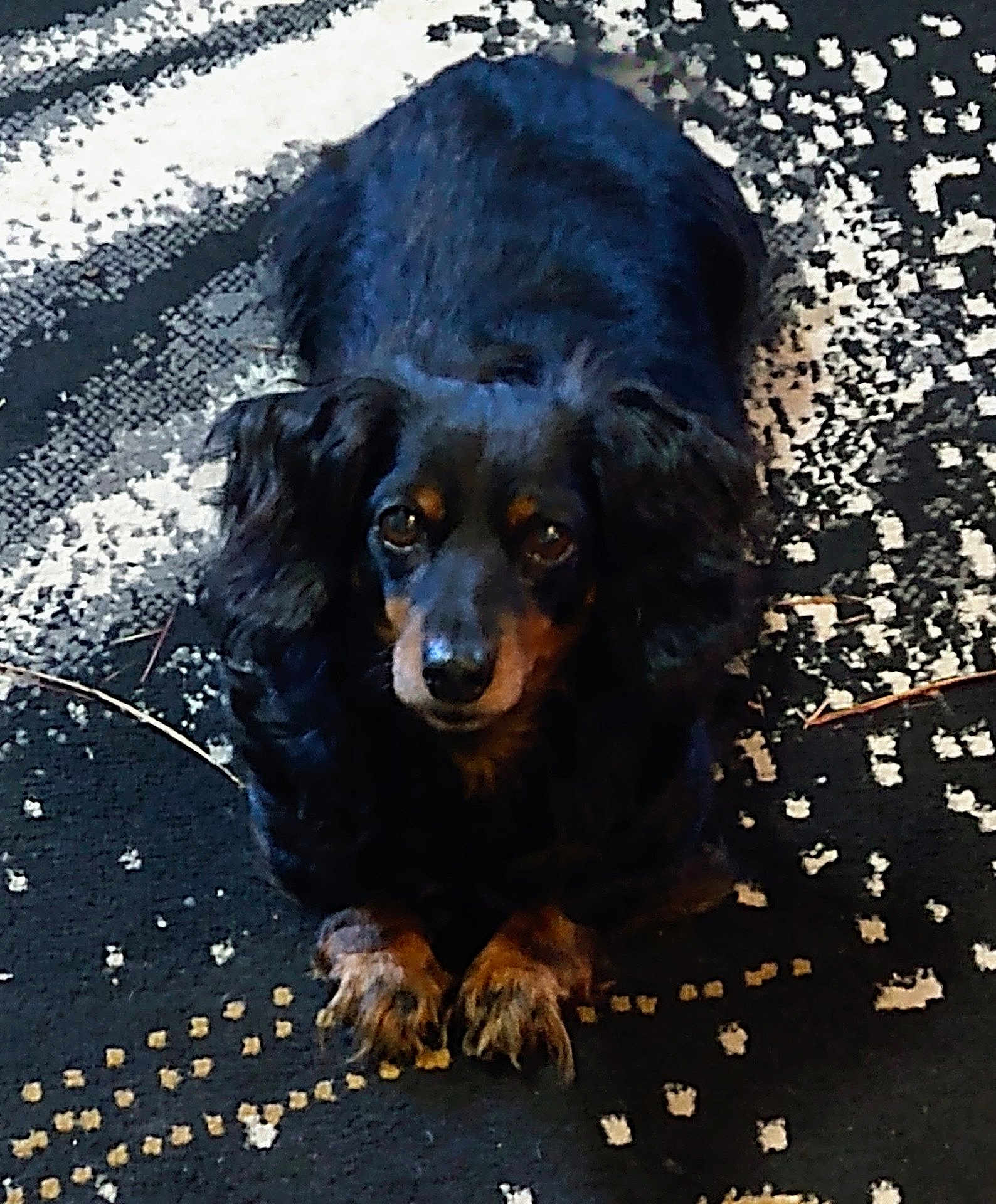 Lady Mae