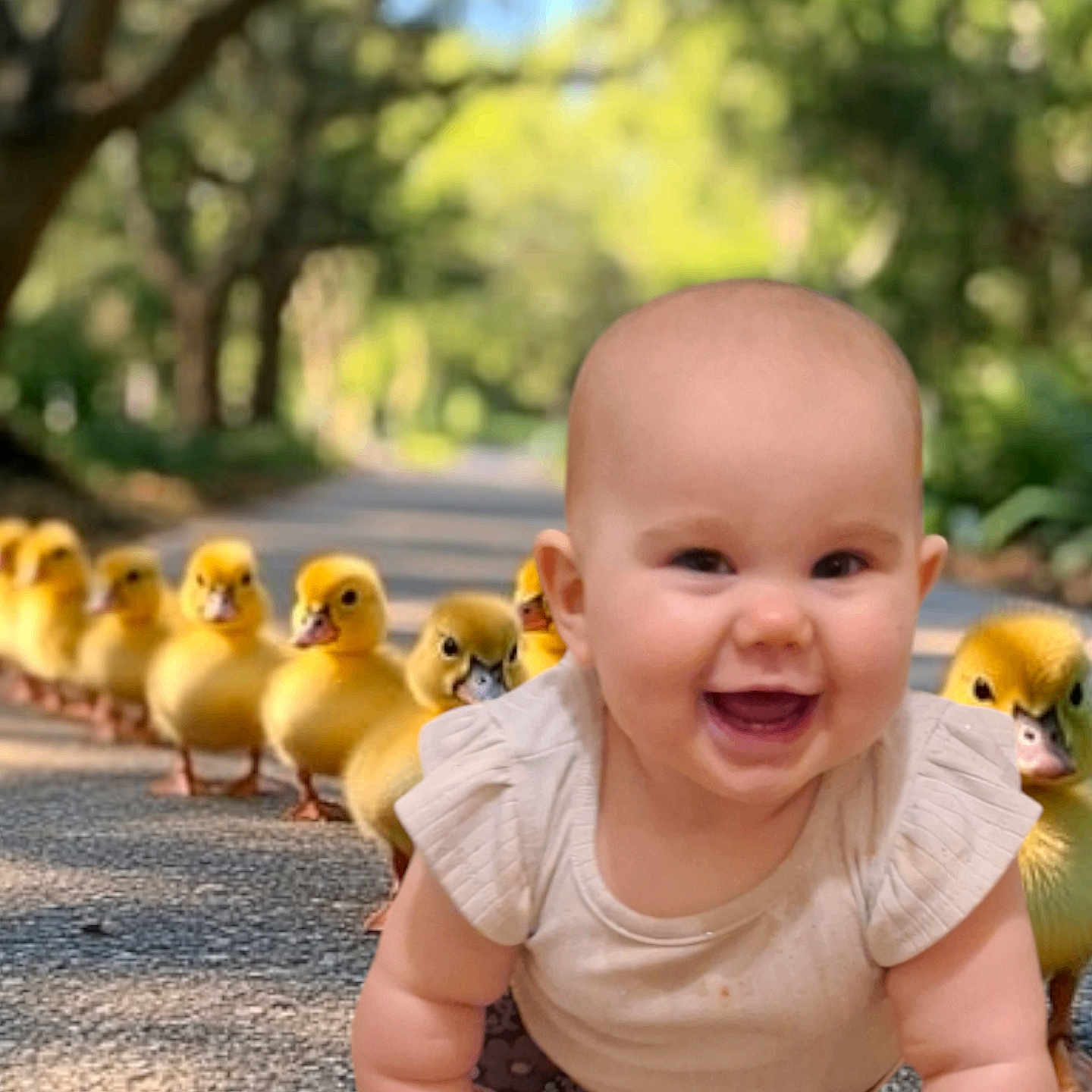 Faith is registered to the contest to win money with this photo: animal, baby, babylaughing, beak, bird, crawling, face, grass, happy, head, laughing, nature, outdoors, park, person, photography, plant, portrait, sitting, smile