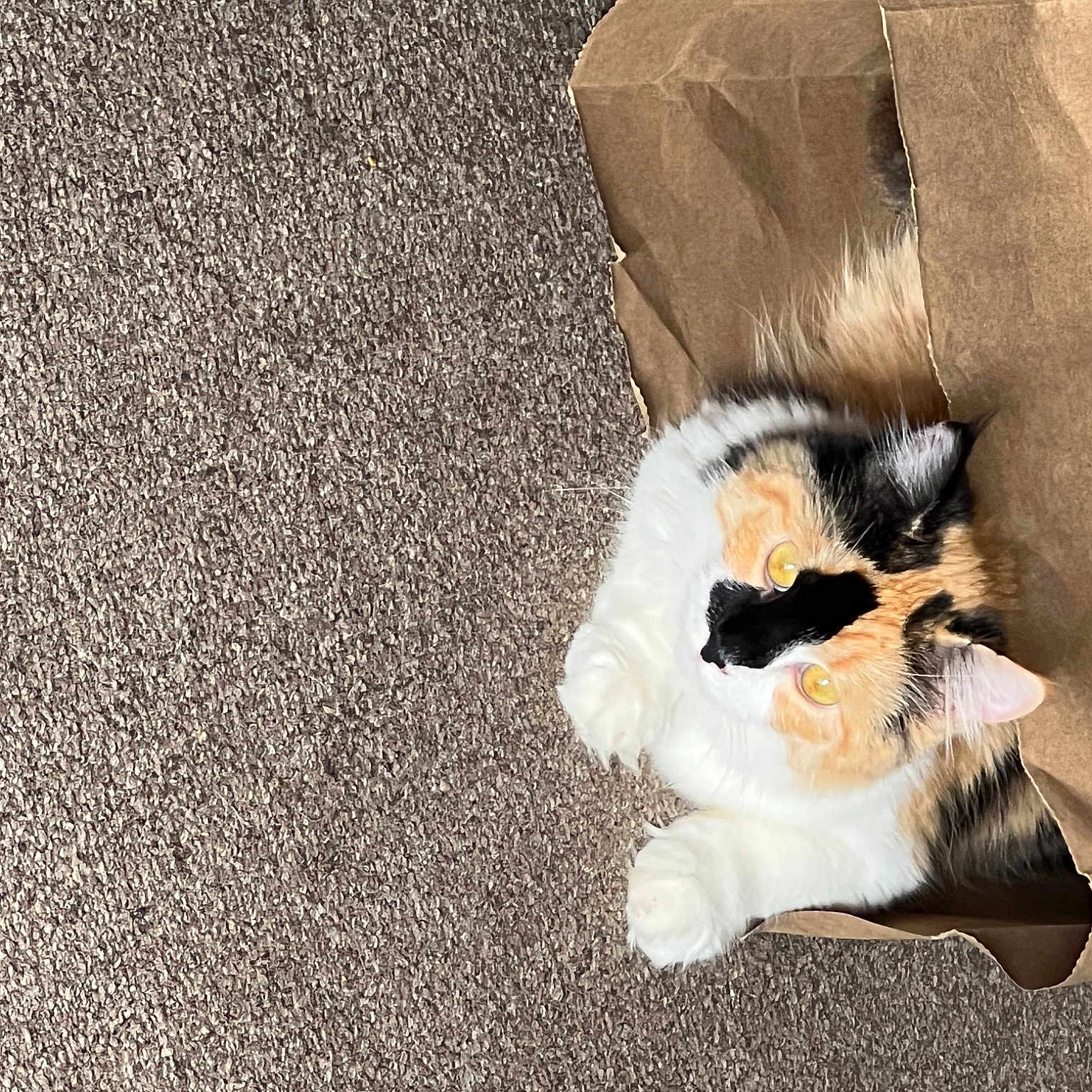 Patches