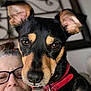 Lil Miss is registered to the contest to win money with this photo: dog, person, glasses, collar, pet, face, closeup, indoor, smile, brown_eyes, black_fur, tan_fur, red_collar, metal_ring, wrought_iron, home, portrait, cute, animal, human