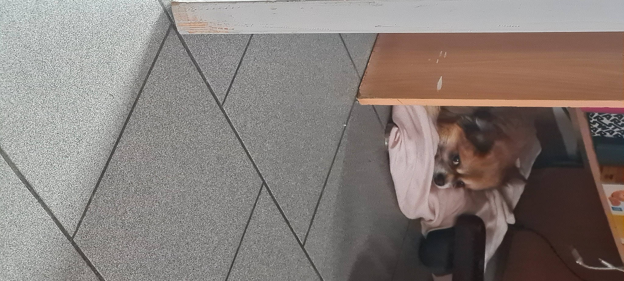 Yoko a rejoint le concours — aidez-le/la à gagner de superbes lots ! asphalt, chair, concrete, design, desk, floor, flooring, grey, hardwood, human_leg, laminate_flooring, pattern, plywood, rectangle, road_surface, shadow, sidewalk, table, wood, wood_stain