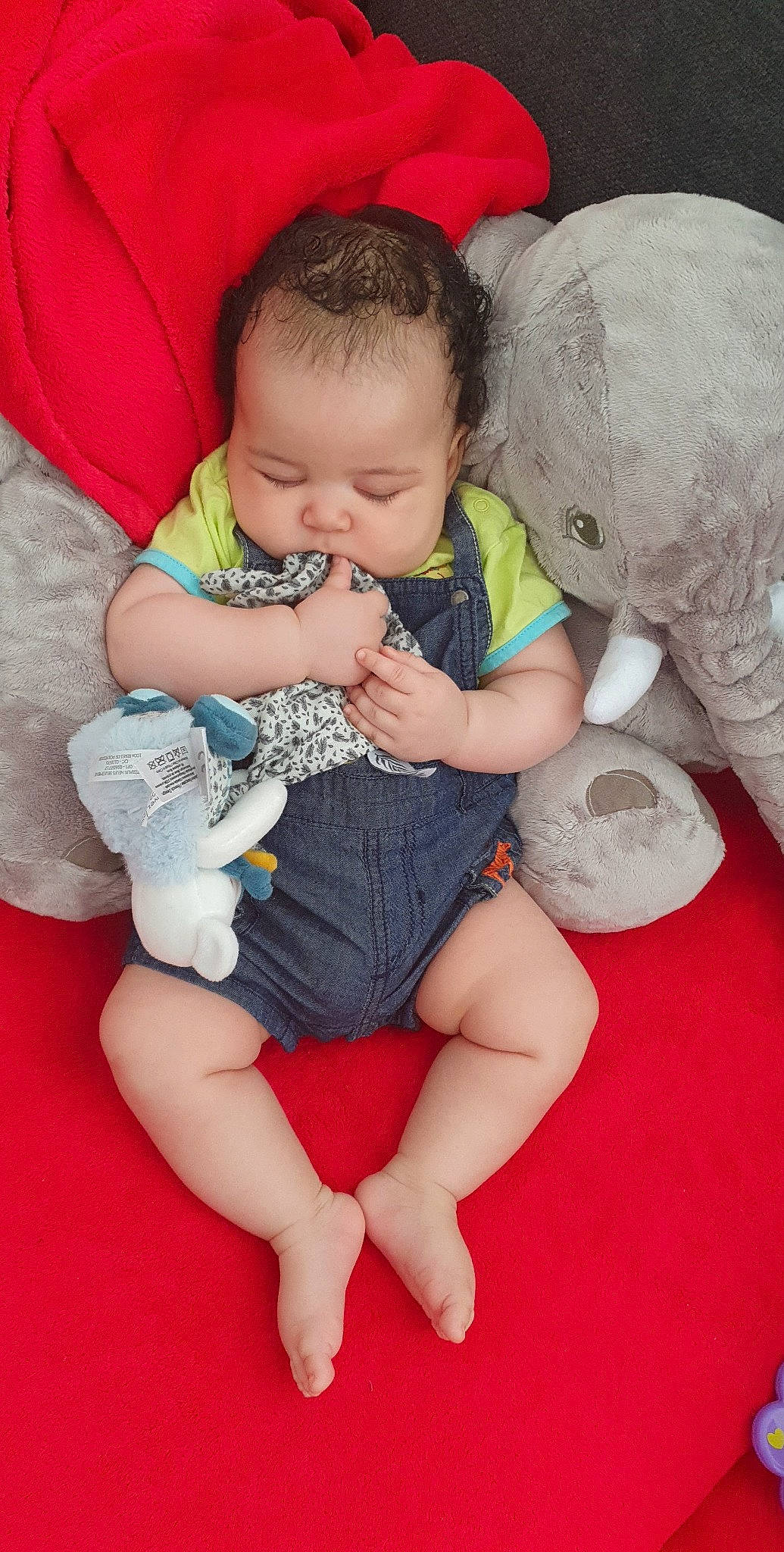 William participe au concours pour gagner de l'argent avec cette photo : arm, baby, baby_toddler_clothing, cheek, child, comfort, finger, fun, hand, happy, lap, leg, mammal, organ, person, pink, red, skin, sock, thigh