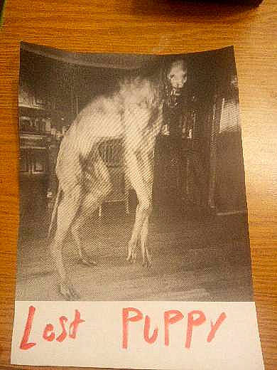 Moose joined the competition — help win amazing prizes! advertising, art, book, chest, flesh, font, history, illustration, knee, paper, paper_product, pattern, rectangle, rib, room, vintage_clothing, visual_arts, wood, working_animal