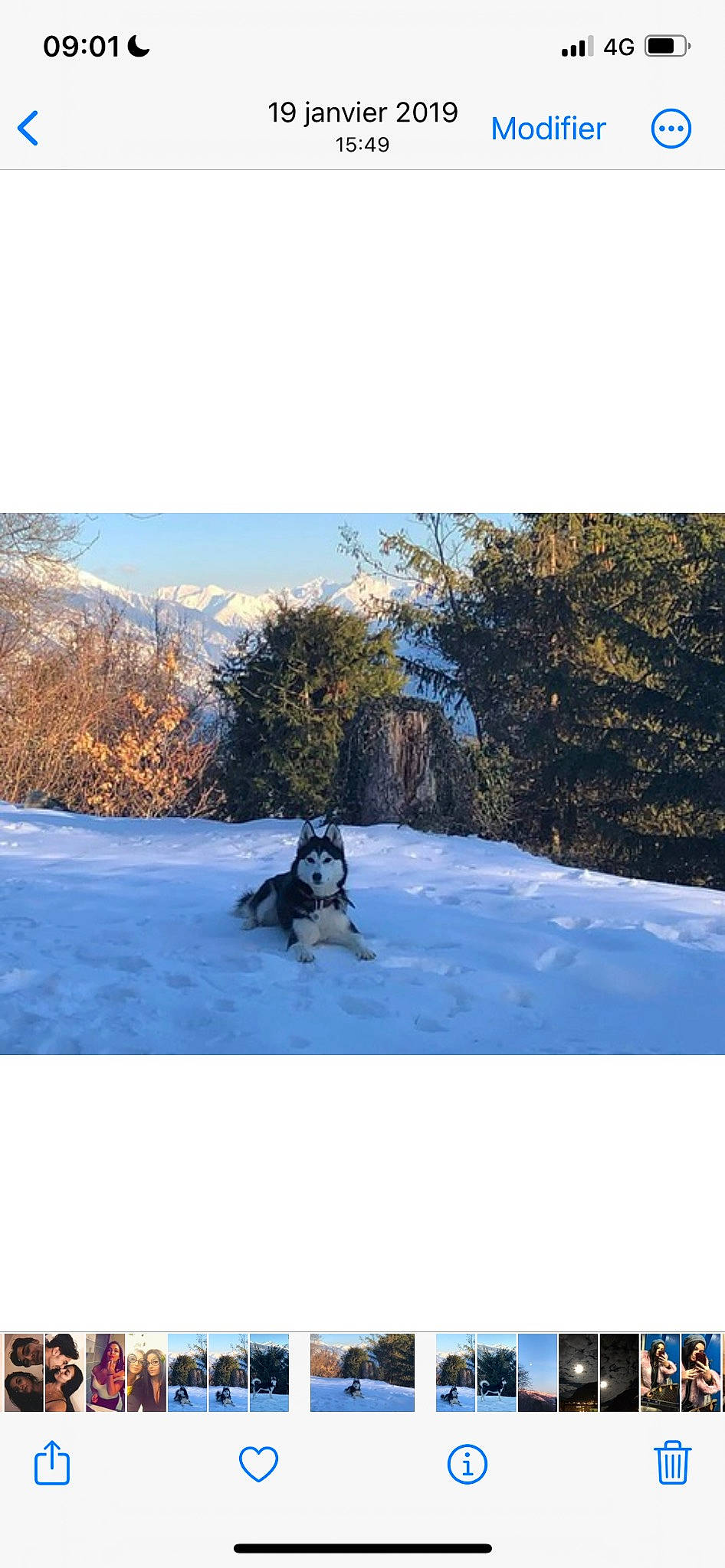 Laika a rejoint le concours — aidez-le/la à gagner de superbes lots ! carnivore, cloud, dog, dog_breed, electric_blue, freezing, frost, glacial_landform, ice_cap, landscape, leisure, natural_landscape, recreation, sky, slope, snow, sporting_group, tree, wildlife, winter