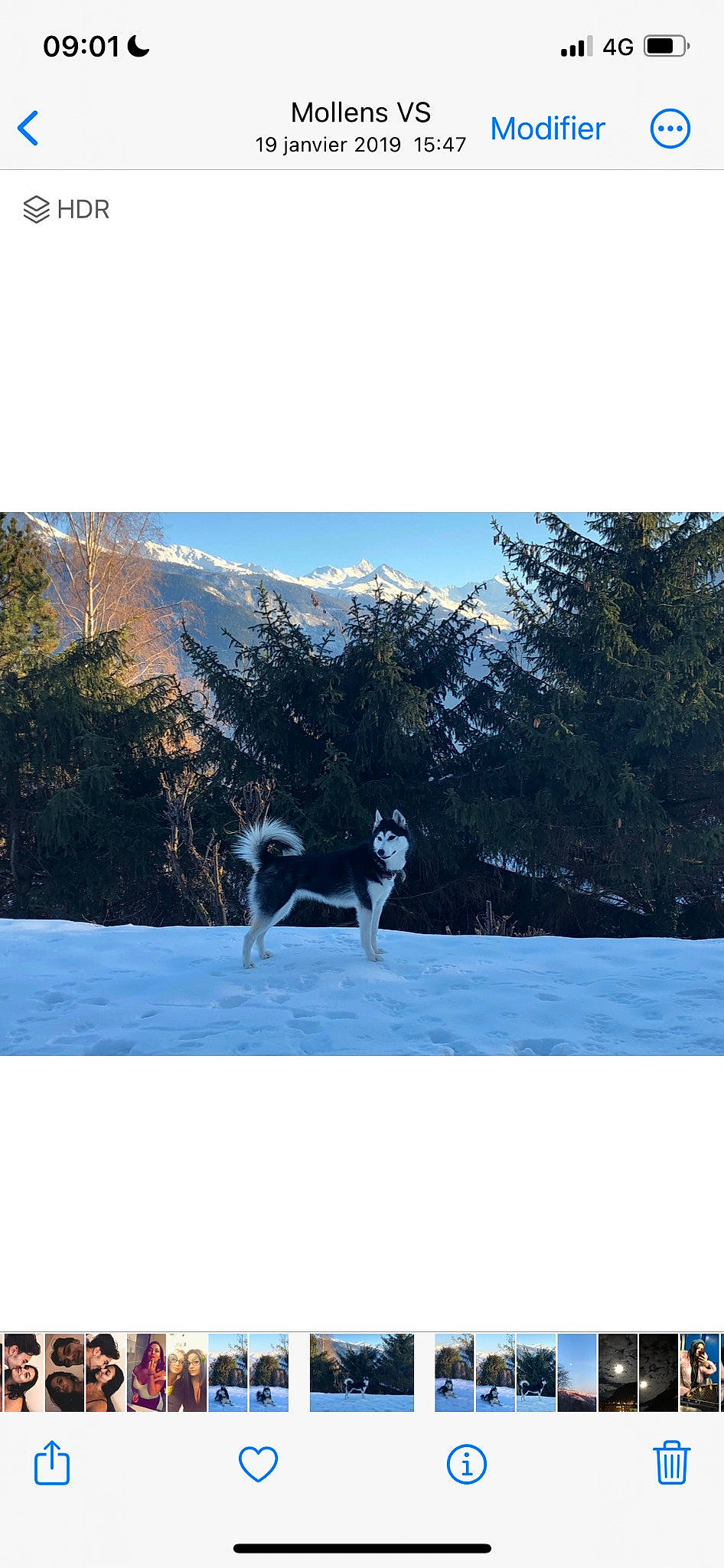 Laika a rejoint le concours — aidez-le/la à gagner de superbes lots ! branch, dog, dog_breed, electric_blue, forest, freezing, grass, landscape, leisure, mountain, natural_landscape, plant, recreation, rectangle, sky, slope, snow, tints_and_shades, tree, winter