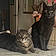 Smokey And Marvin