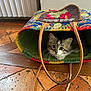 animal, bag, cat, colorful, curious, ears, eyes, fabric, floor, handle, home, indoor, kitten, pet, playful, texture, tile, whiskers, wood, young