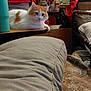 cat, orange_and_white_cat, table, cushion, furniture, indoor, cozy, household_items, cluttered, relaxed, pet, mammal, feline, resting, domestic_animal, wooden_table, patterned_fabric, room, background, orange_cat