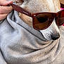 dog, sunglasses, blanket, hand, pet, wrapped, cozy, brown, white, fur, closeup, portrait, fashion, accessory, animal, cute, outdoor, nose, ear, shade