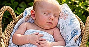 Echo joined the competition — help win amazing prizes! baby, basket, blanket, sleeping, infant, outdoor, greenery, sunlight, nature, peaceful, wrapped, cute, newborn, portrait, soft, resting, woven, child, serene, flora