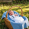 newborn, baby, basket, blue_blanket, grass, outdoor, sunlight, garden, wooden_bench, flowers, swaddled, peaceful, infant, nature, daylight, greenery, relaxing, portrait, sleeping, cozy