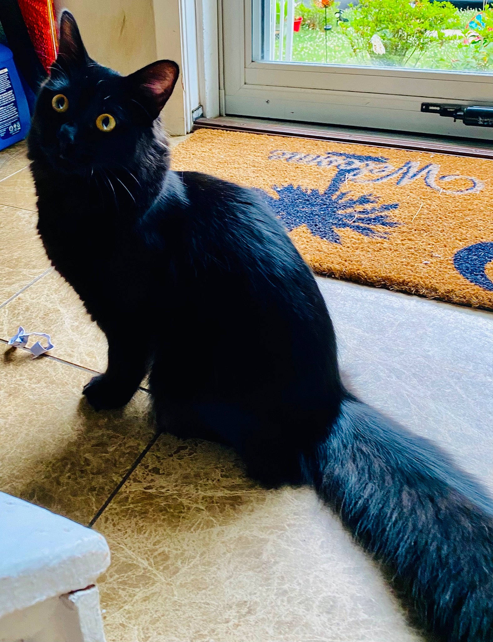 Onyx