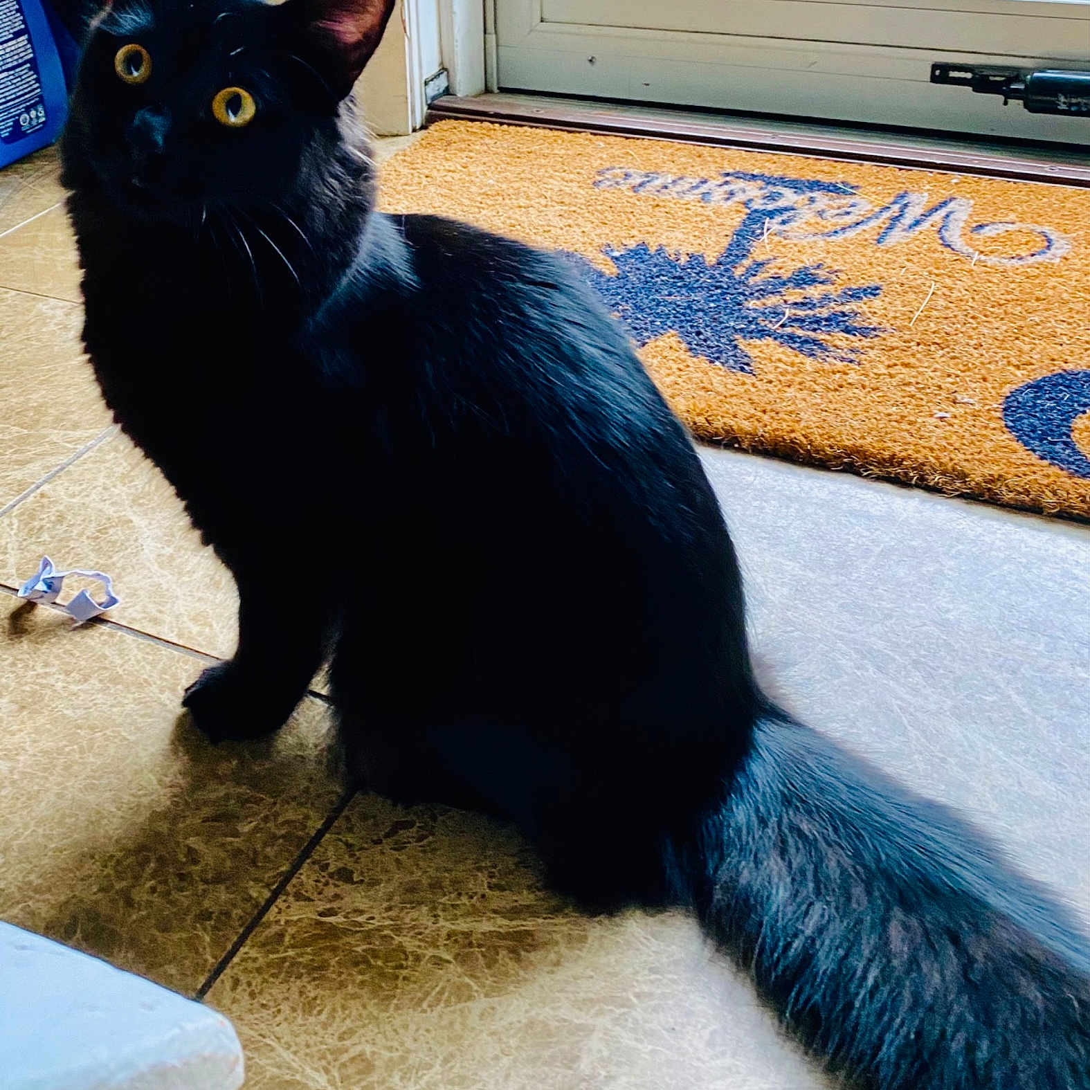Onyx