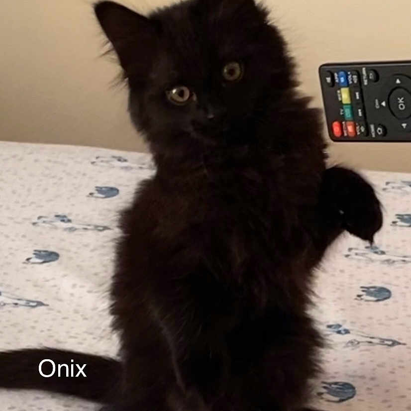 Onix