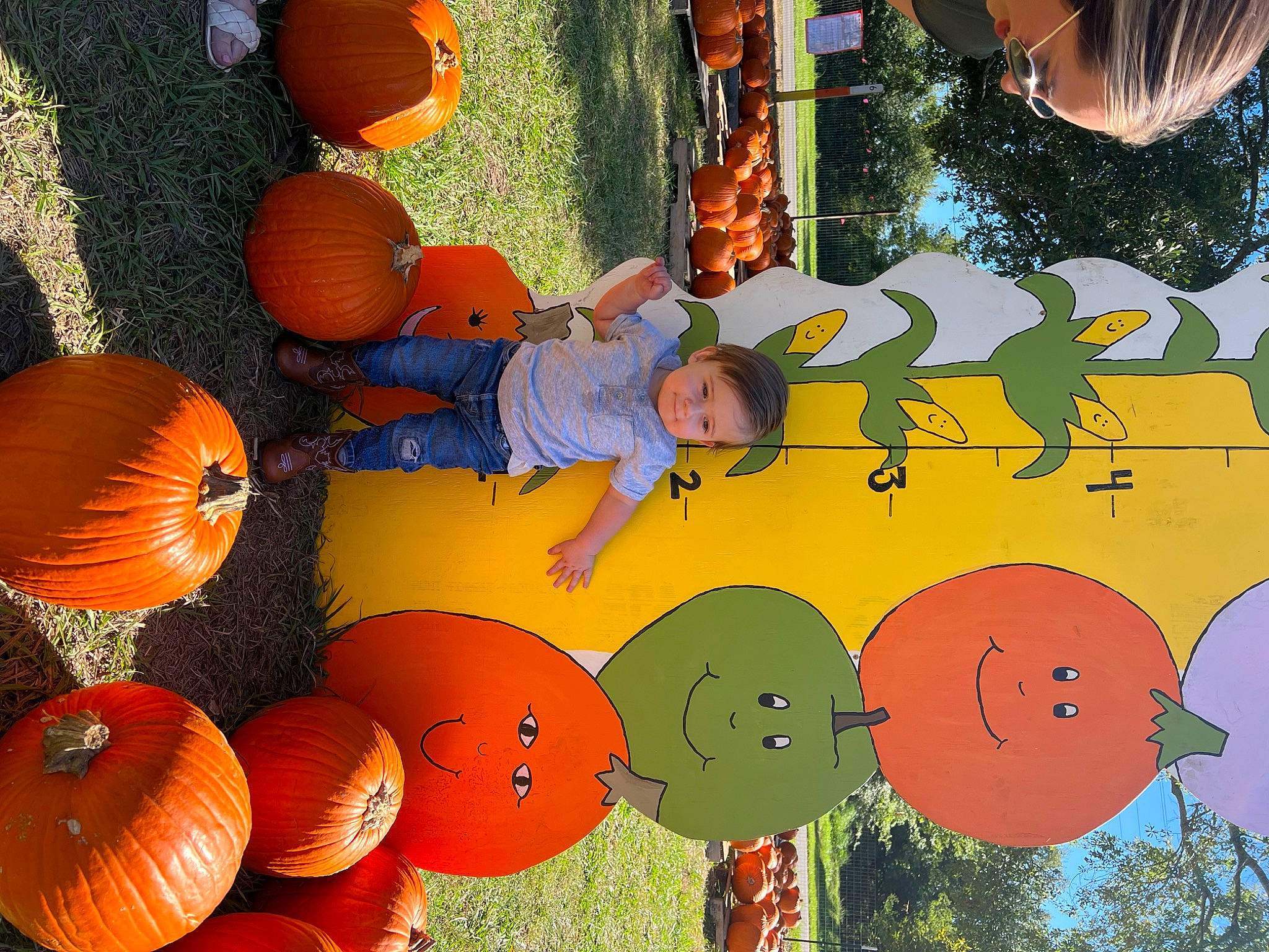 Everett joined the competition — help win amazing prizes! art, calabaza, cucurbita, gourd, green, happy, leaf, leisure, natural_foods, nature, orange, person, plant, pumpkin, squash, tree, vegetable, whole_food, winter_squash, world