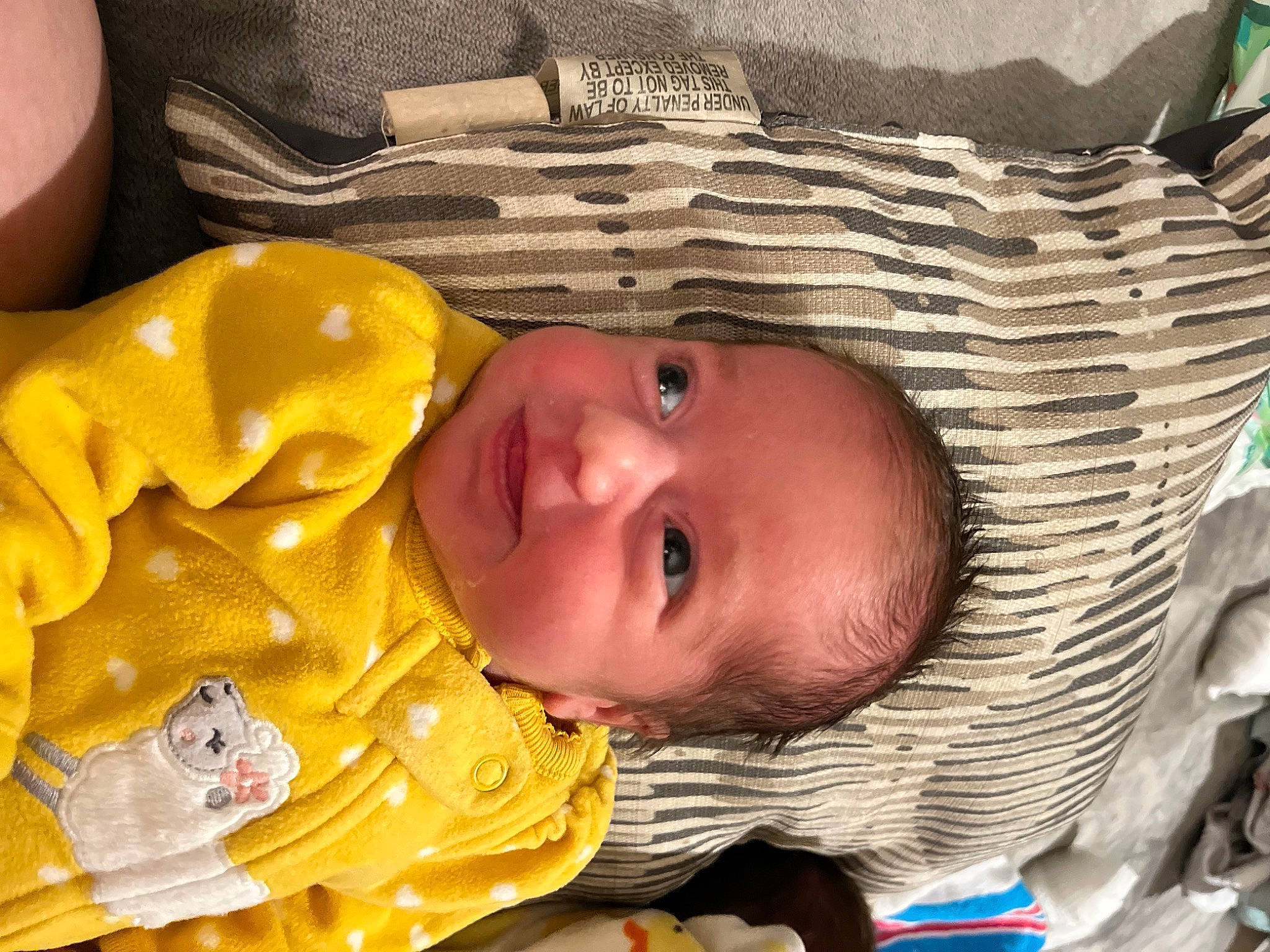 Mariana is registered to the contest to win money with this photo: baby, baby_products, baby_toddler_clothing, cheek, child, eye, face, facial_expression, fun, grass, happy, hat, mouth, nose, person, skin, smile, sun_hat, toddler, tree