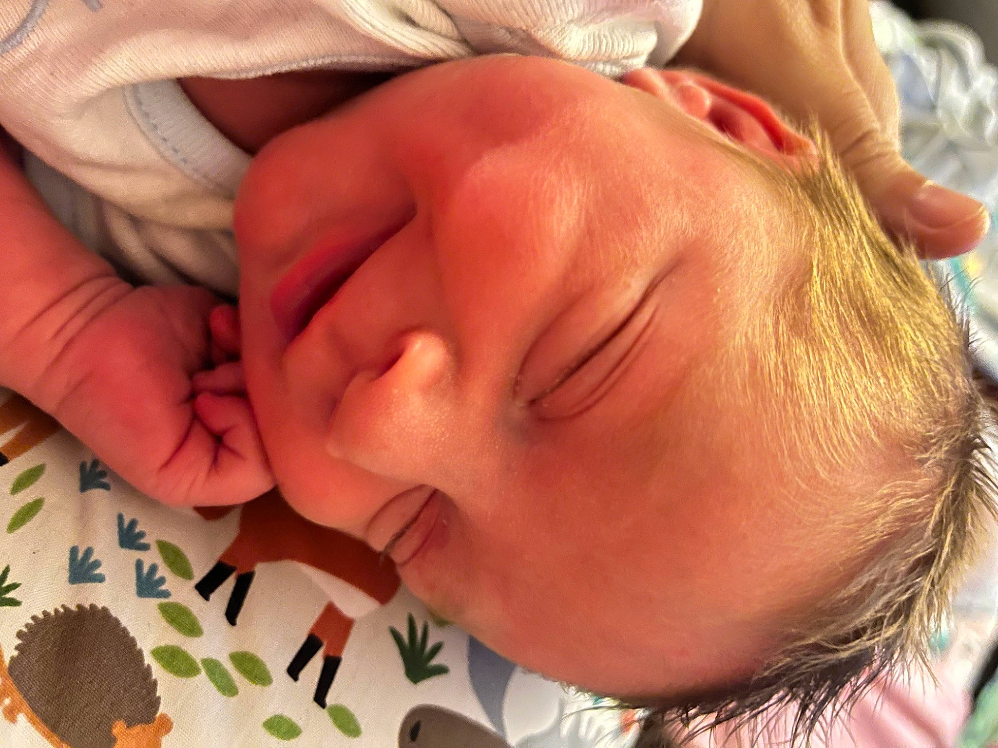 Messiah joined the competition — help win amazing prizes! baby, cheek, child, chin, ear, eyebrow, eyelash, finger, forehead, gesture, happy, lip, mouth, nail, neck, nose, organ, person, skin, thumb