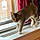 Oliver